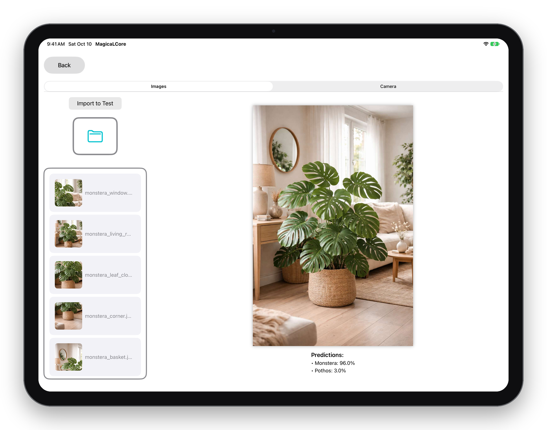 Testing a model with an image: Monstera 96%, Pothos 3%